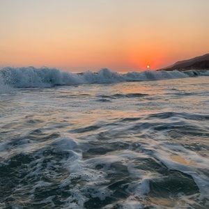 Meet your Posher, Jules